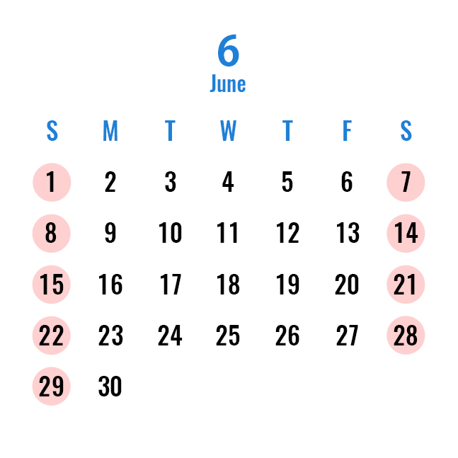 Head Office and Sales Office Calendar